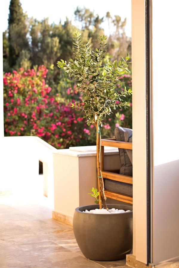Horizon Hotel Kalymnos Миртеа Экстерьер фото